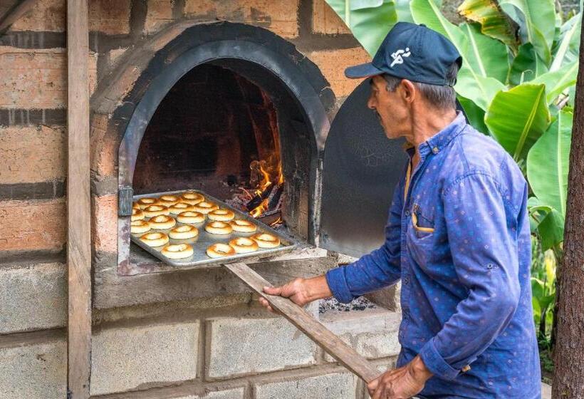 Jardín